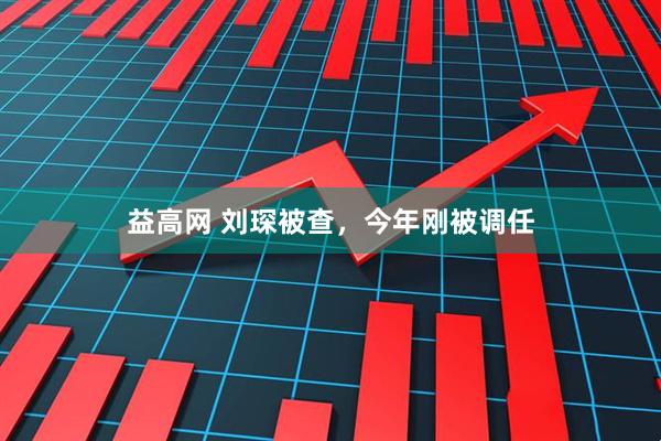 益高网 刘琛被查，今年刚被调任